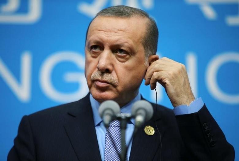 G20 Summit: Erdogan seeks "Safe zones" in Syria