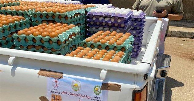 Egypt Eggs